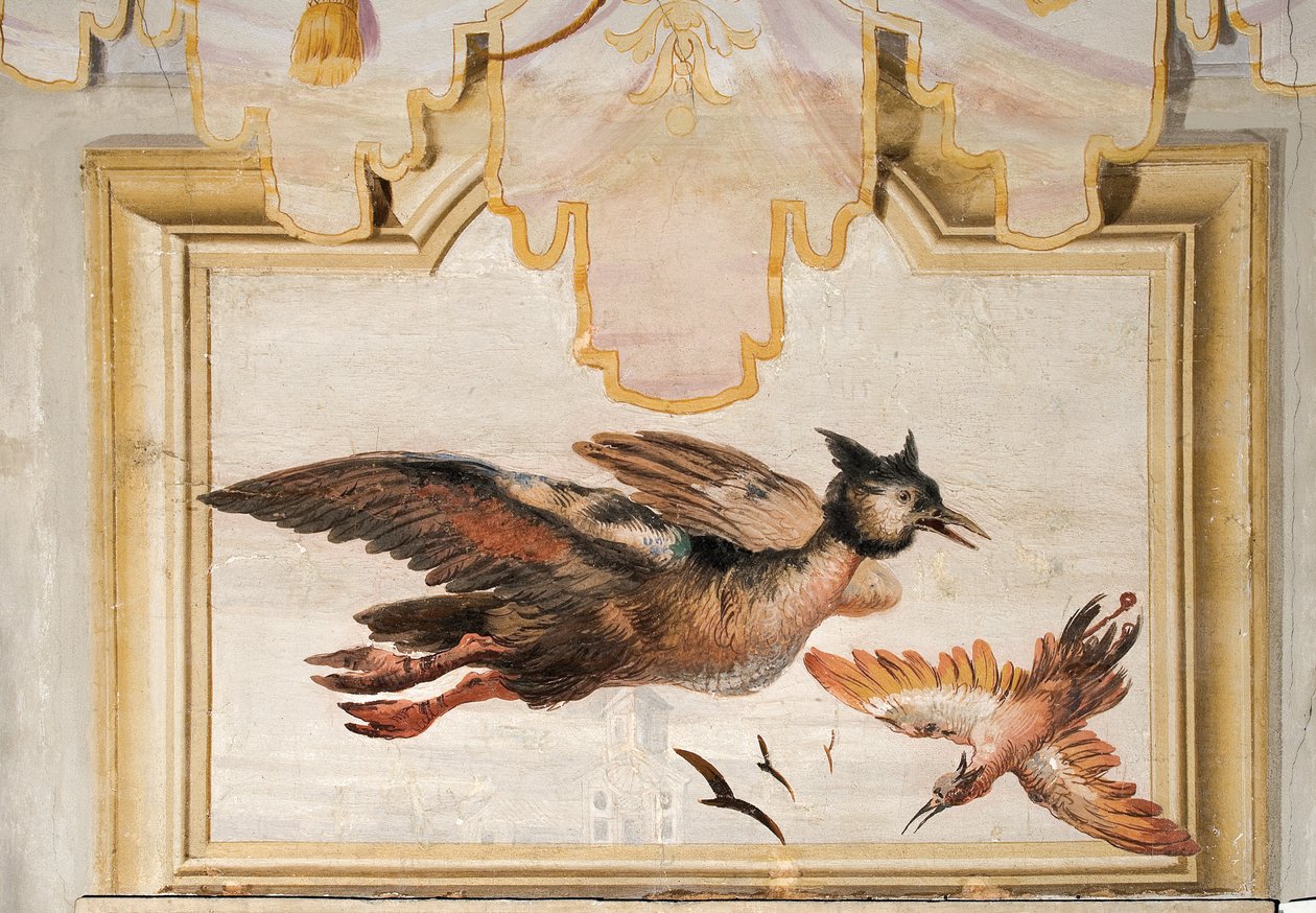 A Pair of Exotic Birds, from the Chinese Room in the Foresteria by Giovanni Domenico Tiepolo