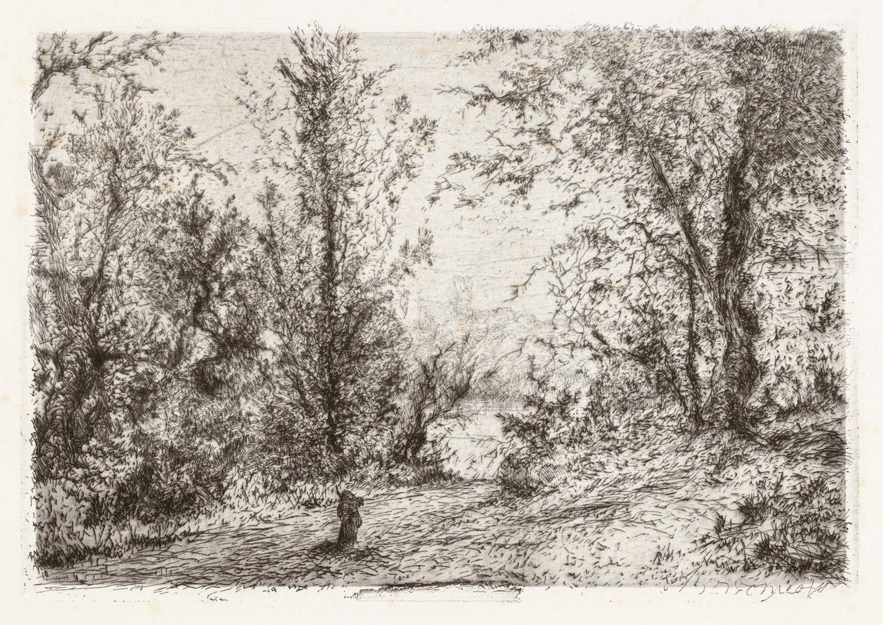 Forest on Lago Maggiore by Giberto Borromeo