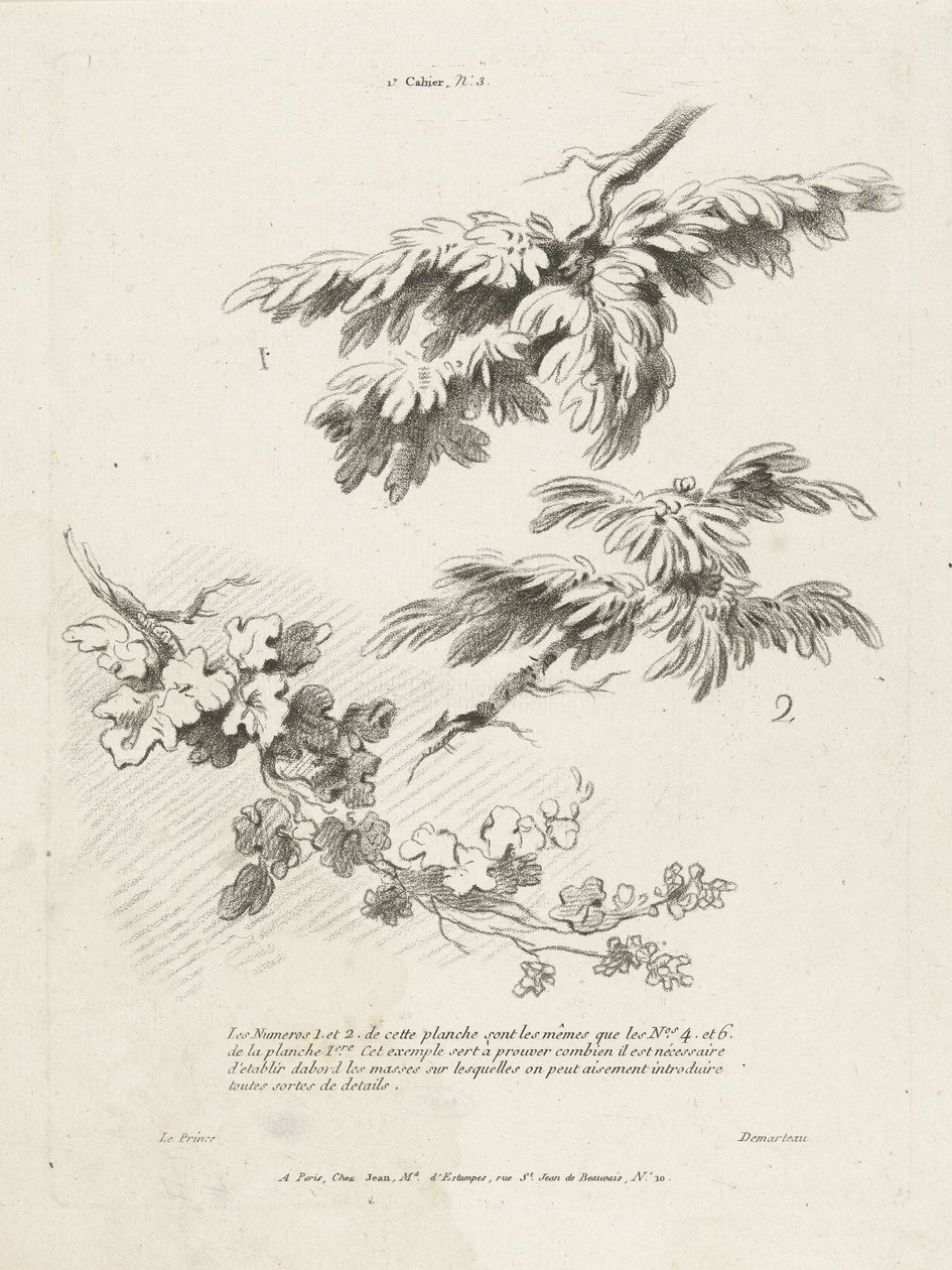 Study of Three Branches with Leaves (series title: 1st Landscape Book) by Gilles Demarteau