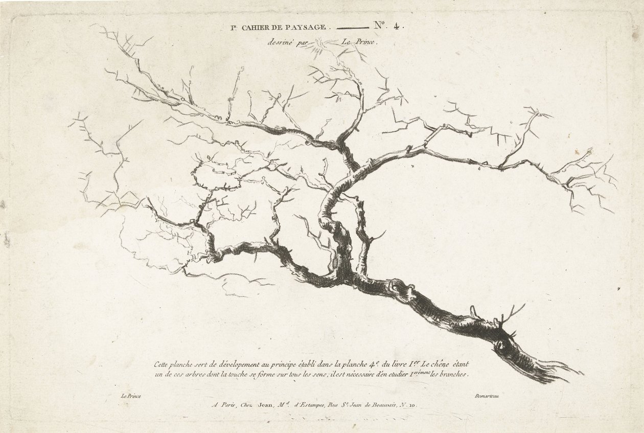 Study of Bare Tree Branch (1st Landscape Notebook series) by Gilles Demarteau