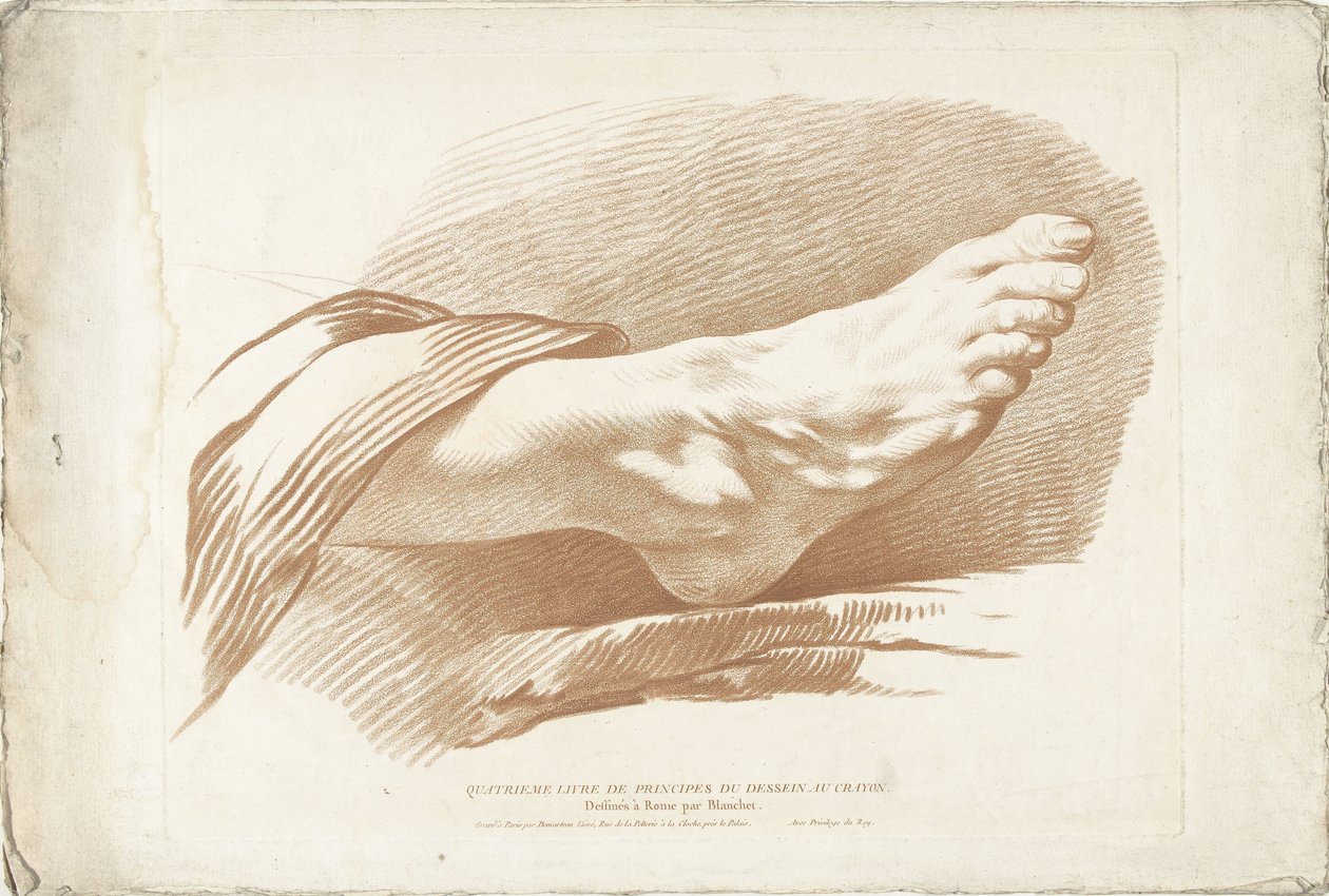 Study of Right Foot by Gilles Demarteau