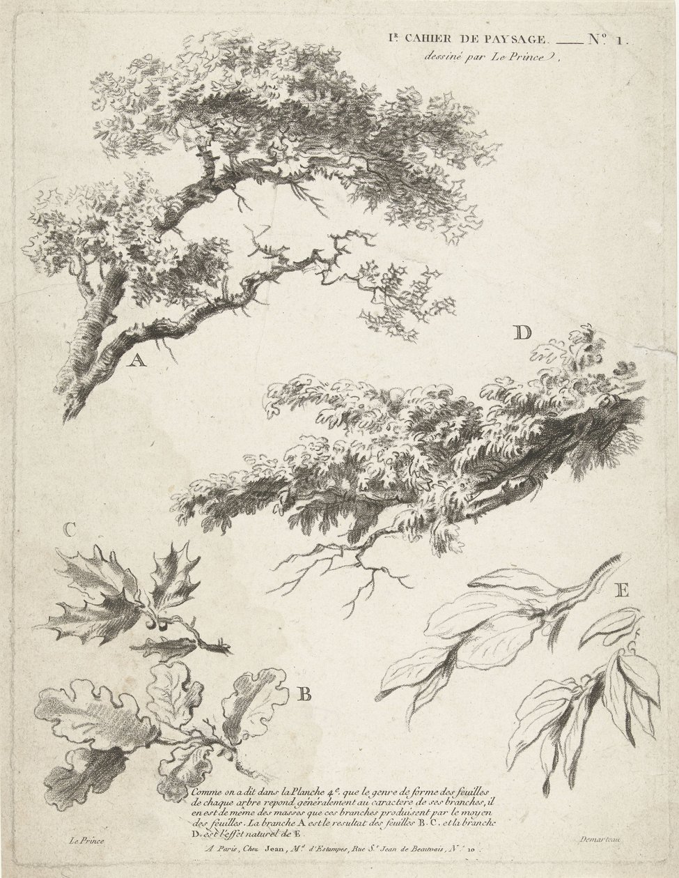Study of Branches with Leaves (1st Book of Landscape) by Gilles Demarteau