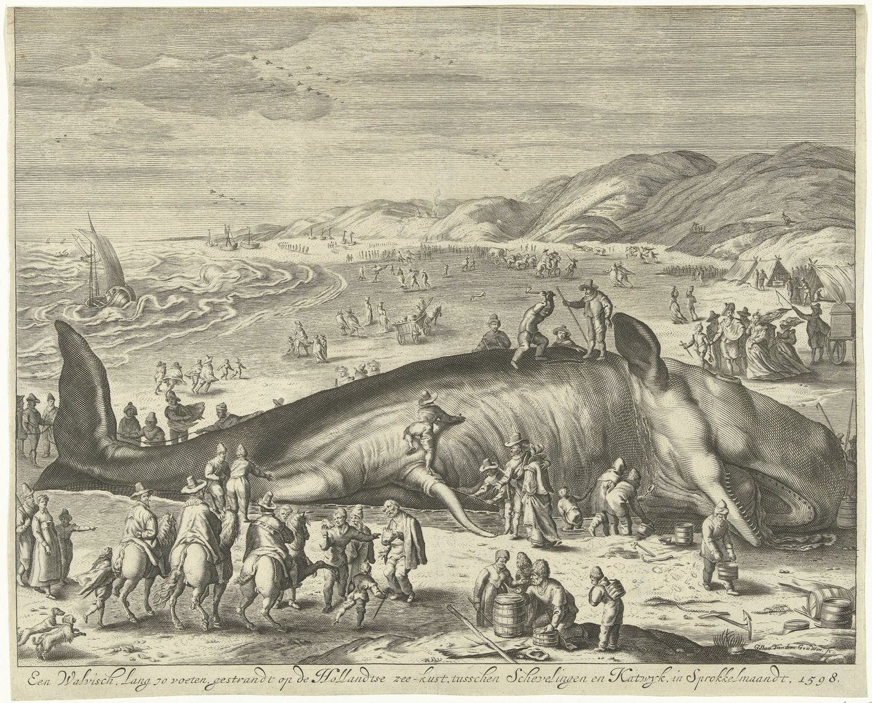 Stranded Whale at Berckhey, 1598 by Gilliam van der Gouwen