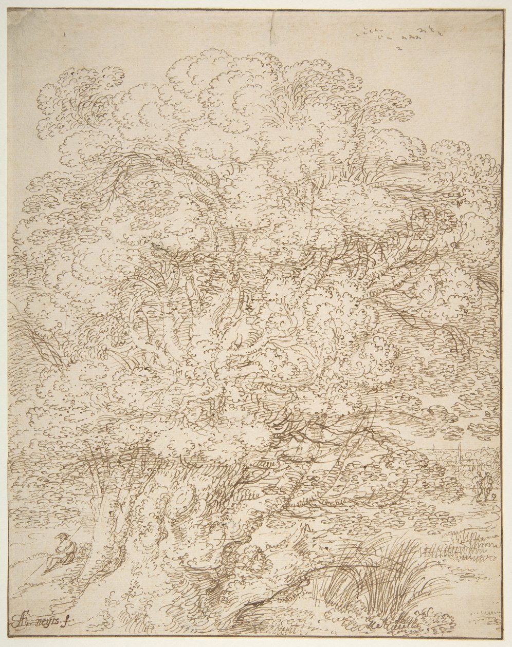 Study of an Old Tree by Gillis Neyts