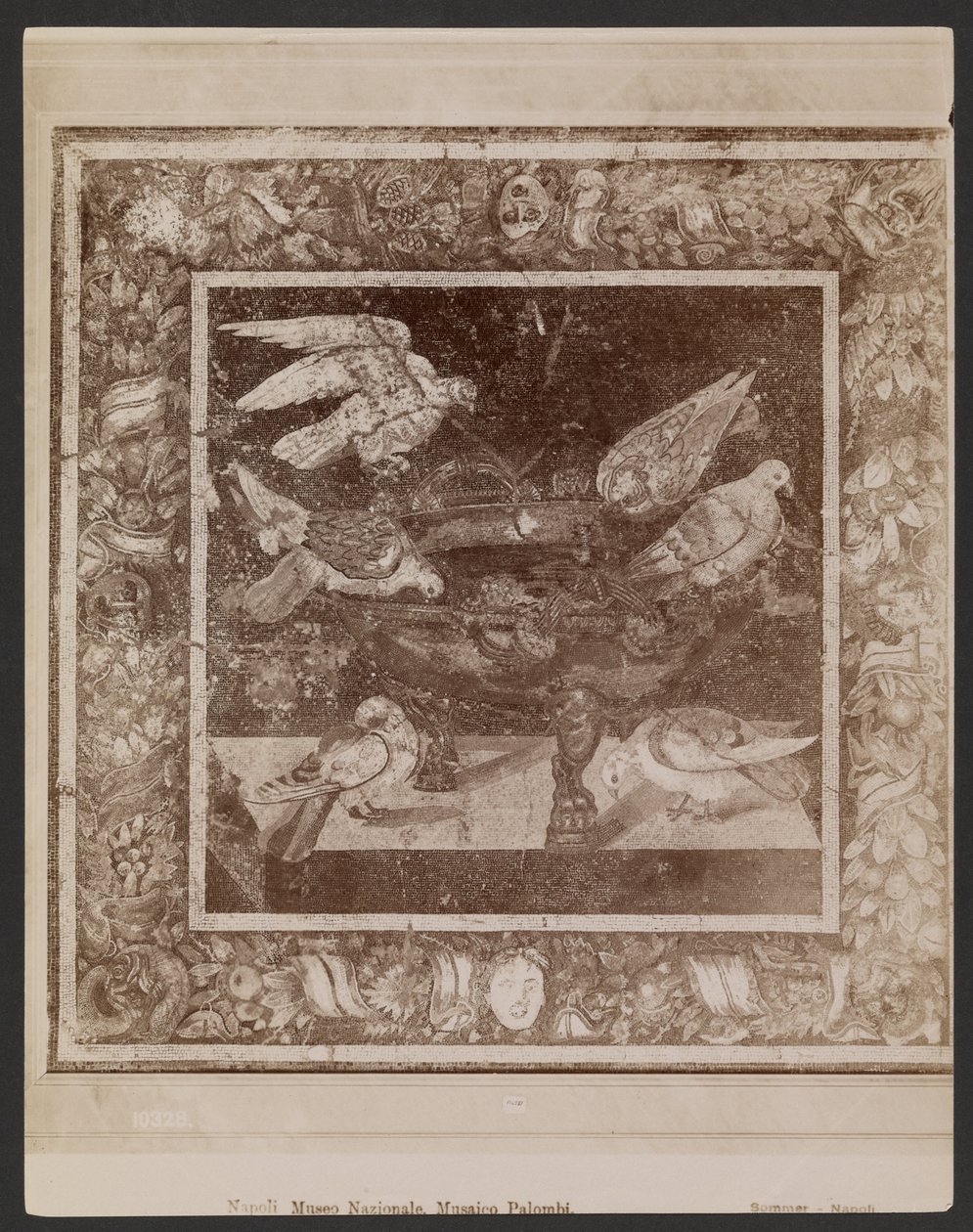 Palombi Mosaic, Naples National Museum by Giorgio Sommer