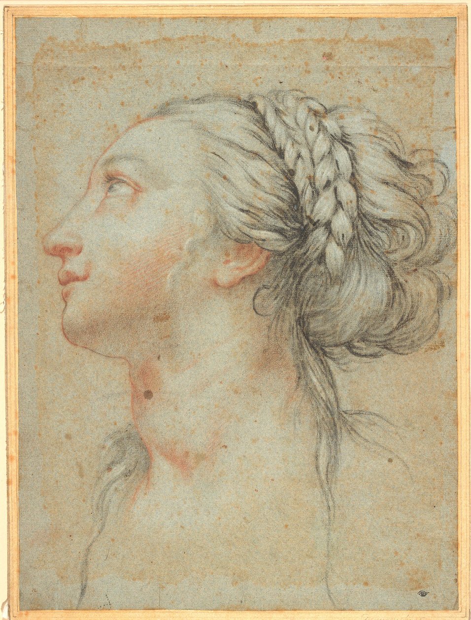 Head of a Young Woman in Profile to the Left by Giovan Battista Vanni