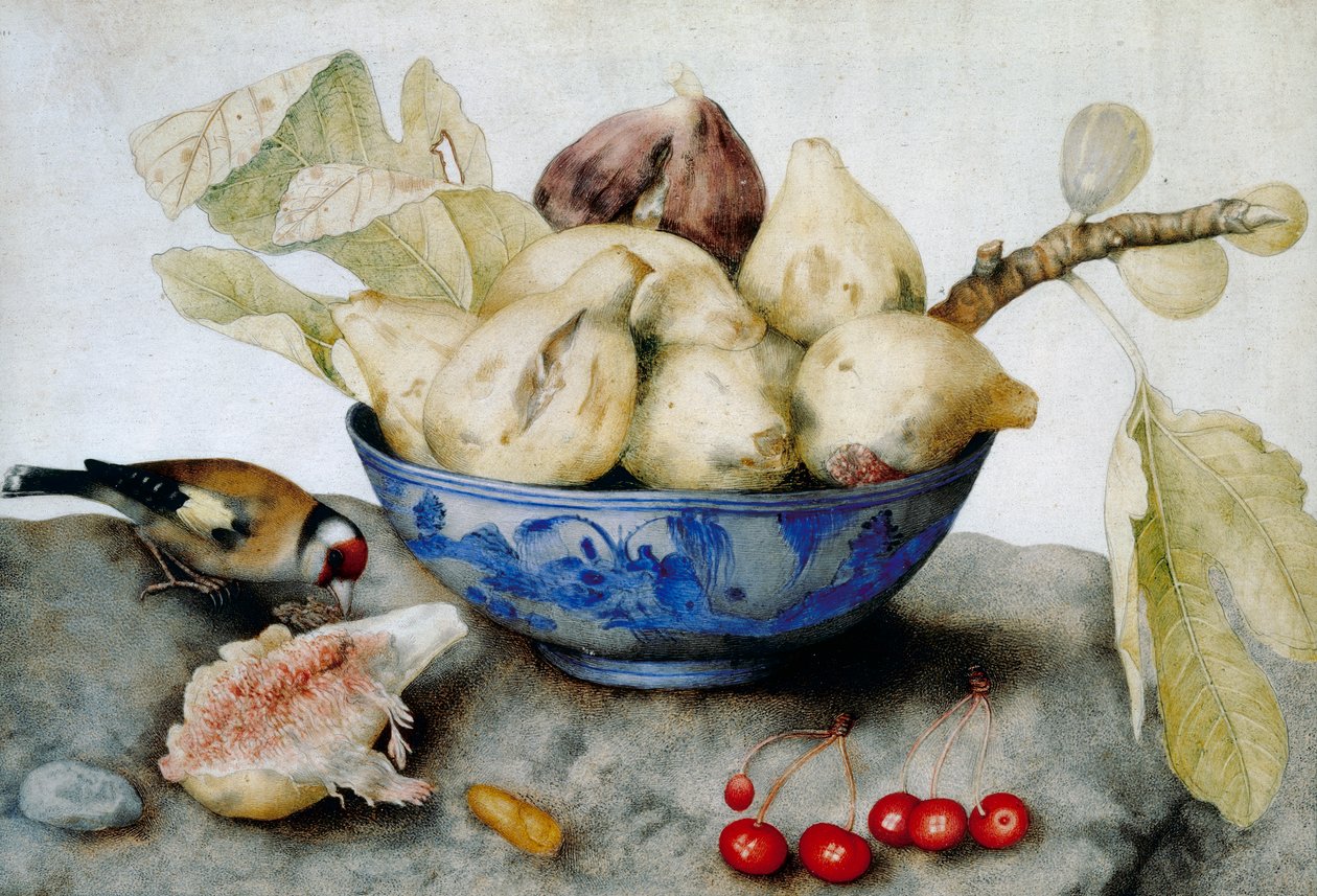 Chinese cup with figs, cherries and a goldfinch by Giovanna Garzoni