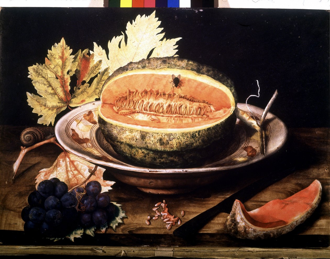 Watermelon with Fly by Giovanna Garzoni