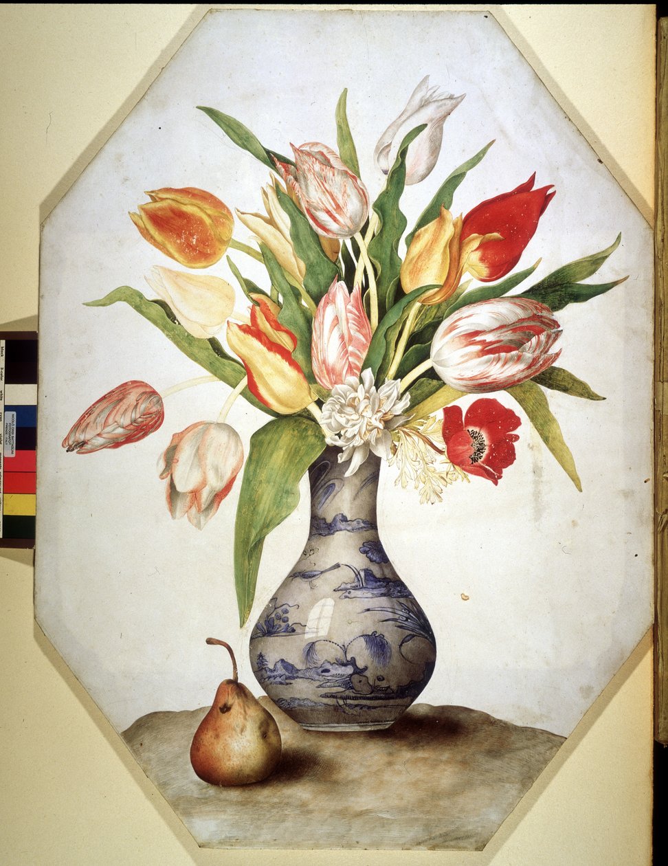 Unknown Image by Giovanna Garzoni