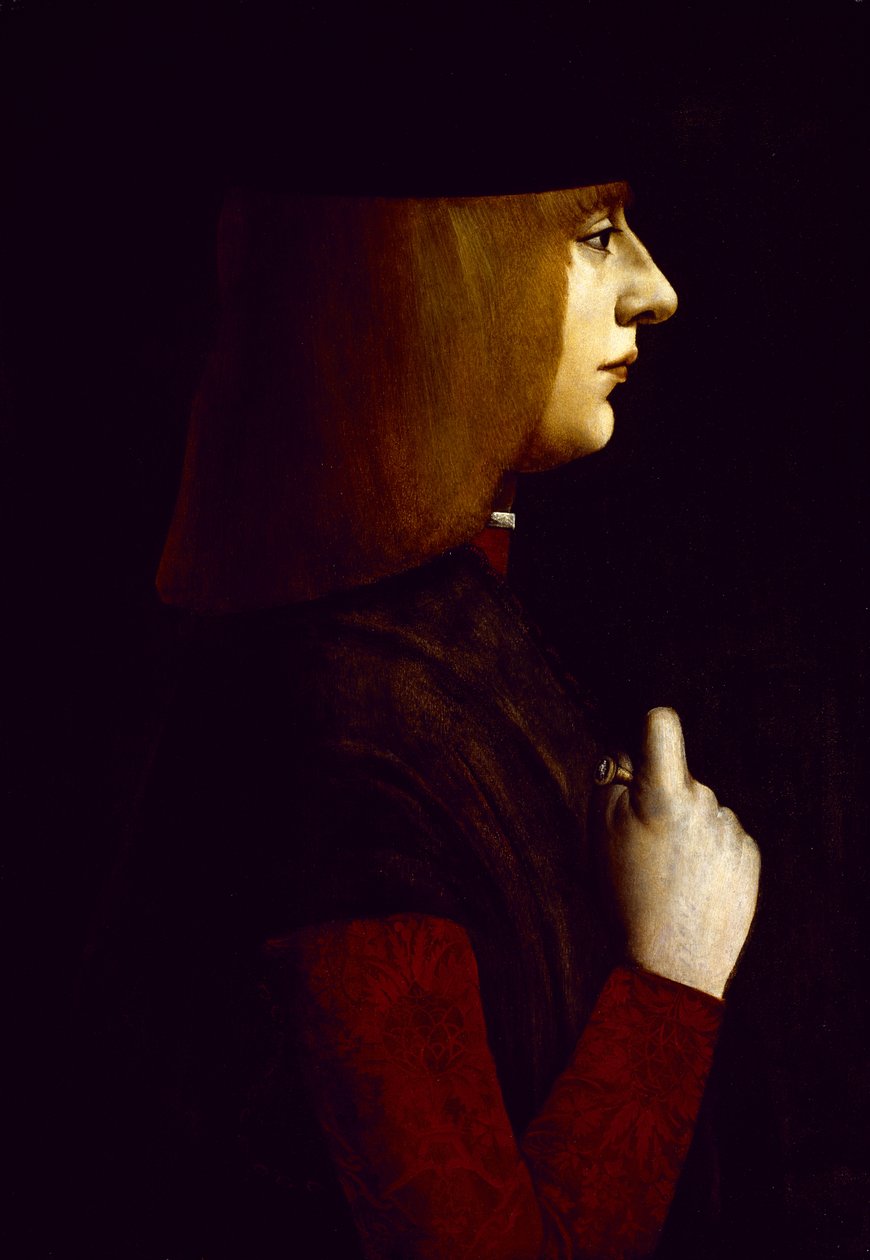 Portrait of a Young Man by Giovanni Ambrogio de Predis