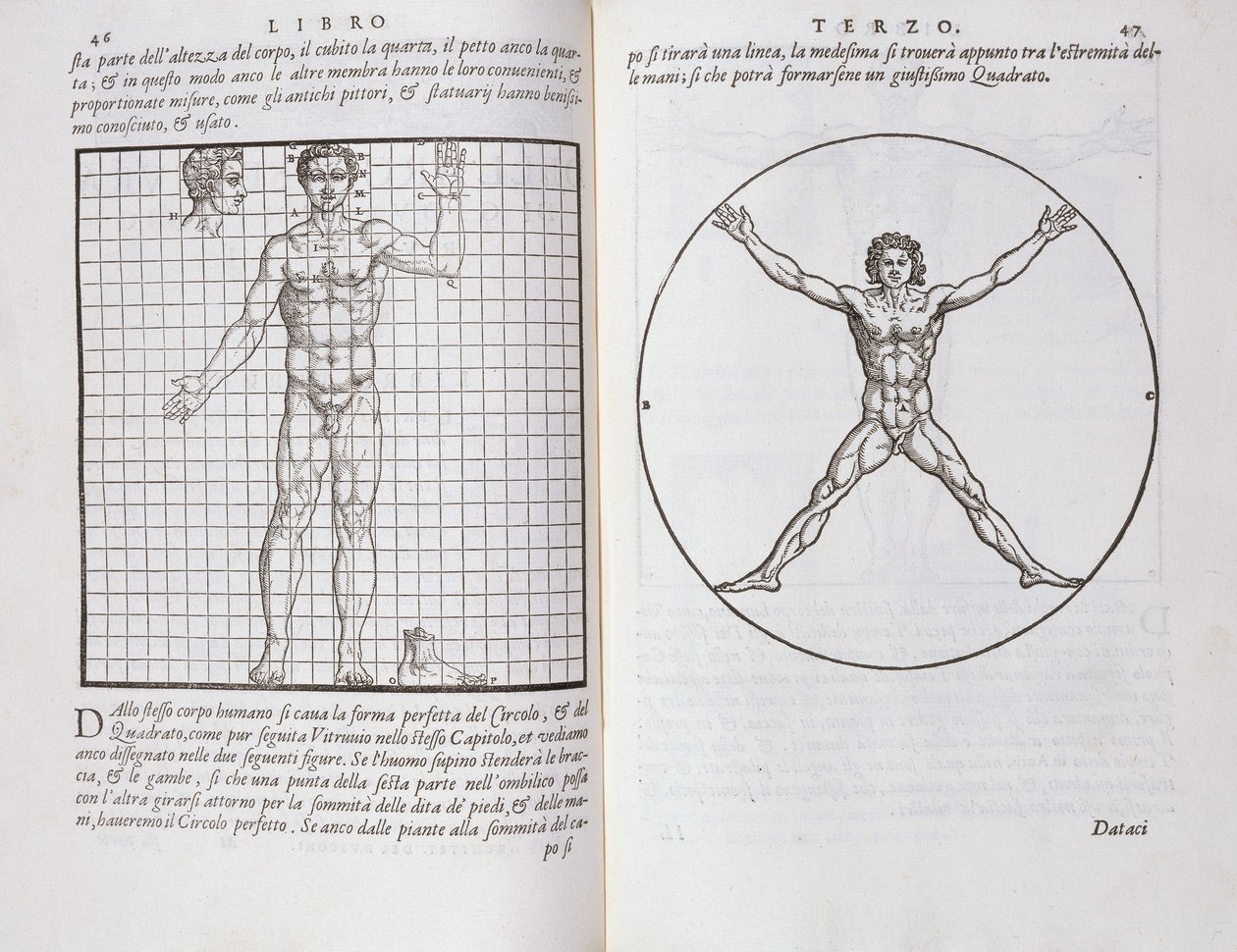 Ideal Proportions Based on the Human Body, from 