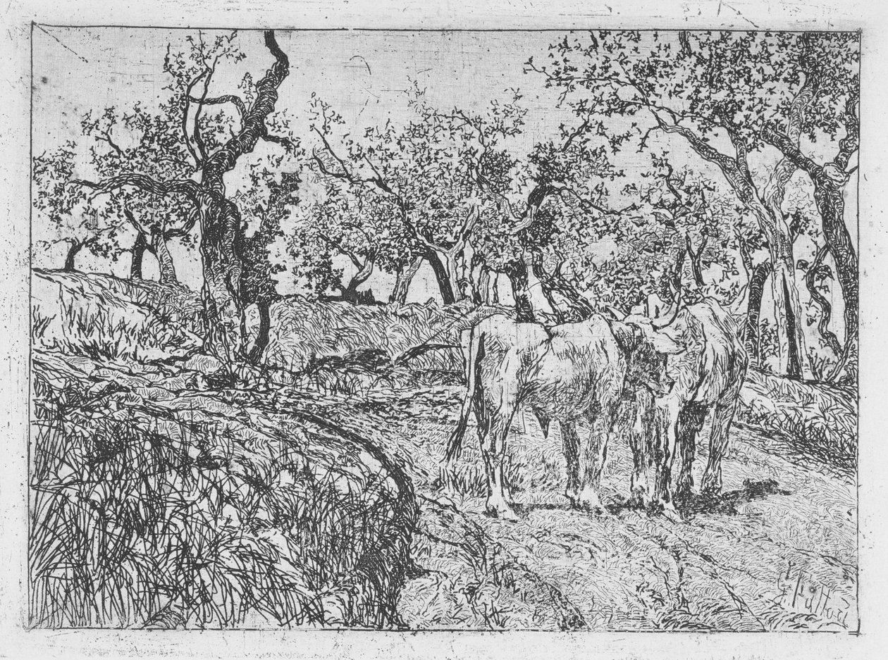 Cattle Amongst Olive Trees by Giovanni Fattori