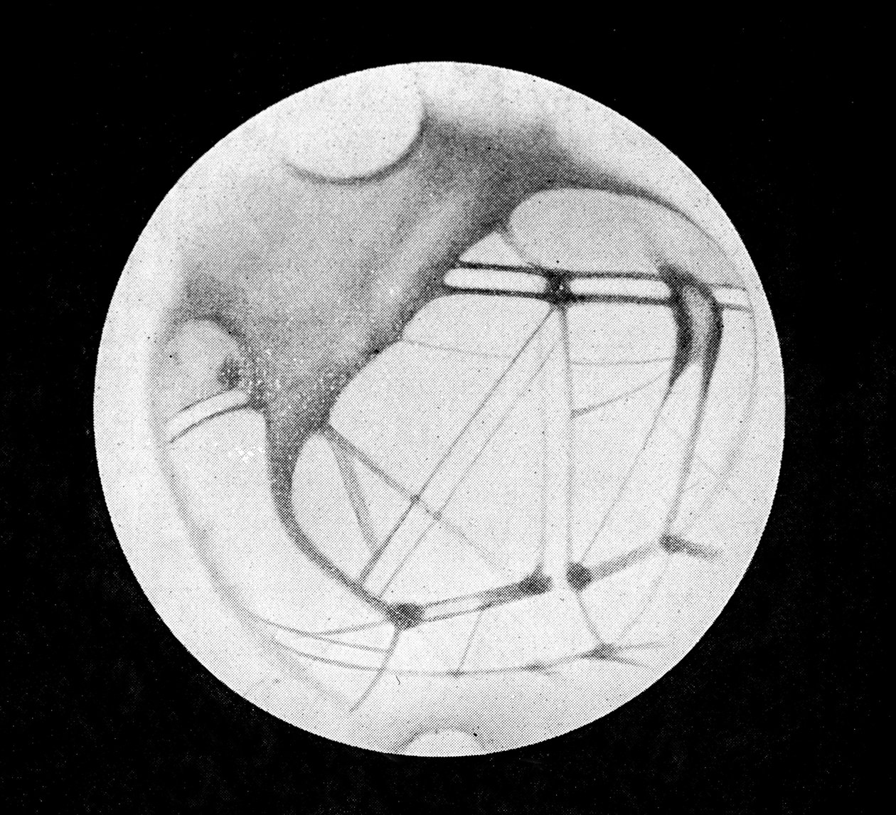 The Double Canals of Mars, after Giovanni Virginio Schiaparelli, in 