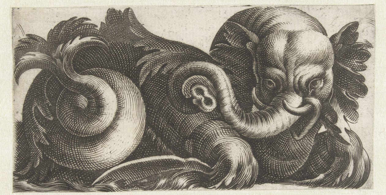 Sea Elephant with Leaf Ears (Friezes with Sea Monsters) by Giovanni Andrea Maglioli