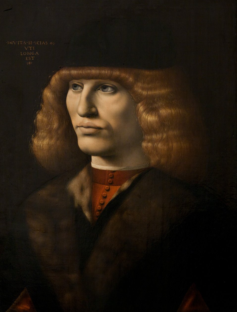 Portrait of a Young Man, c.1500 by Giovanni Antonio Boltraffio