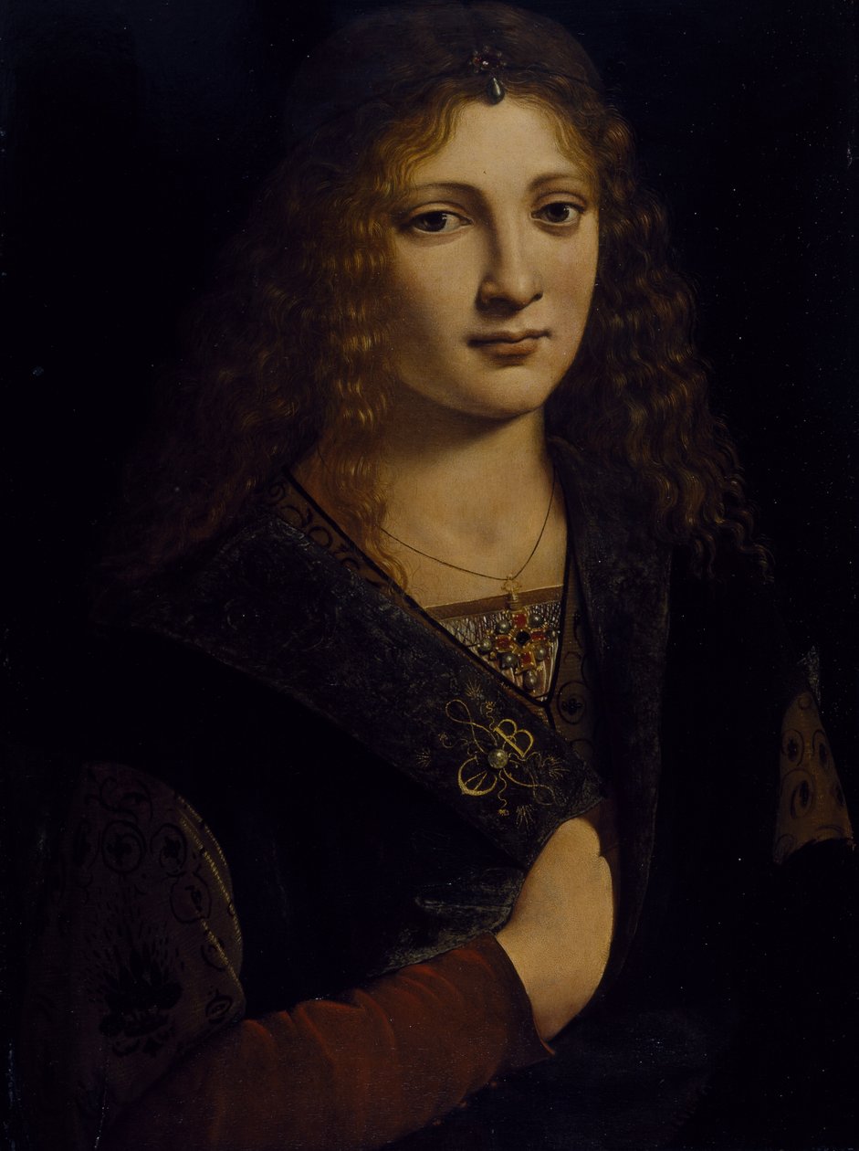 Portrait of a young man, possibly Girolamo Casio, c.1500 by Giovanni Antonio Boltraffio