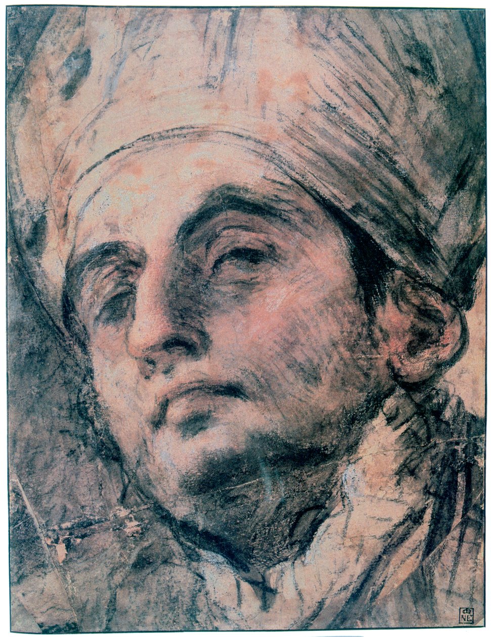 Portrait Study by Giovanni Antonio Pellegrini