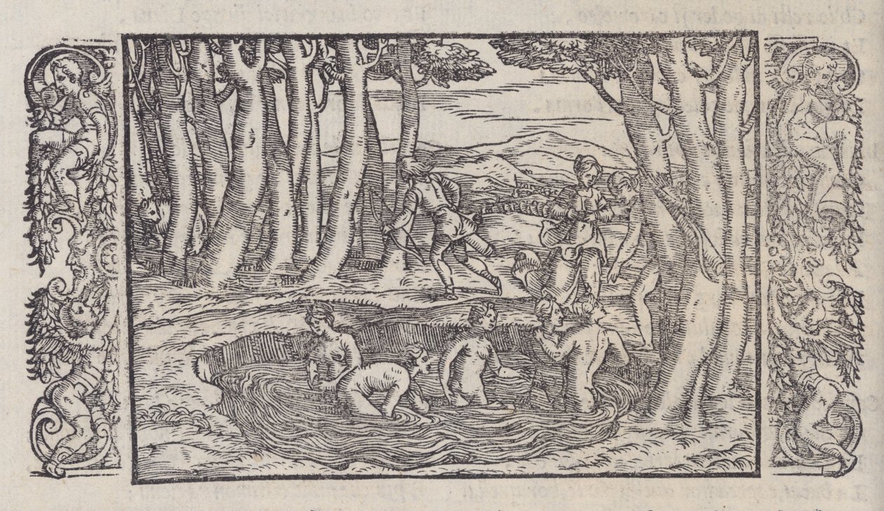 Le Trasformationi by Giovanni Antonio Rusconi
