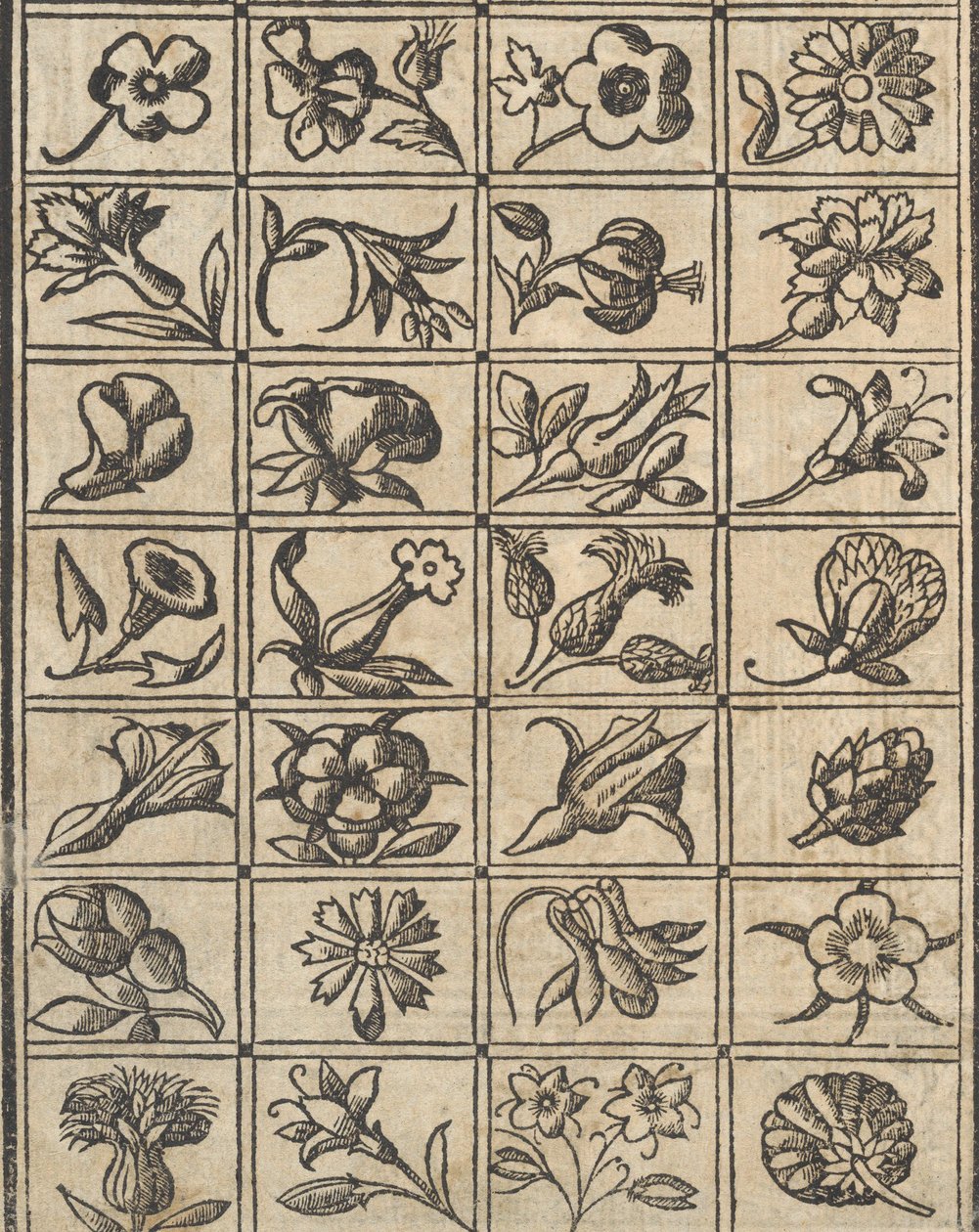 Example of Embroidery, page 10 verso, 1530 by Giovanni Antonio Tagliente