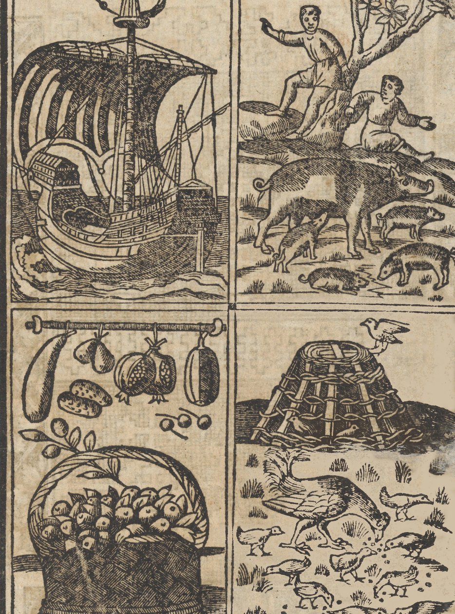 Essempio di recammi, page 9 recto by Giovanni Antonio Tagliente