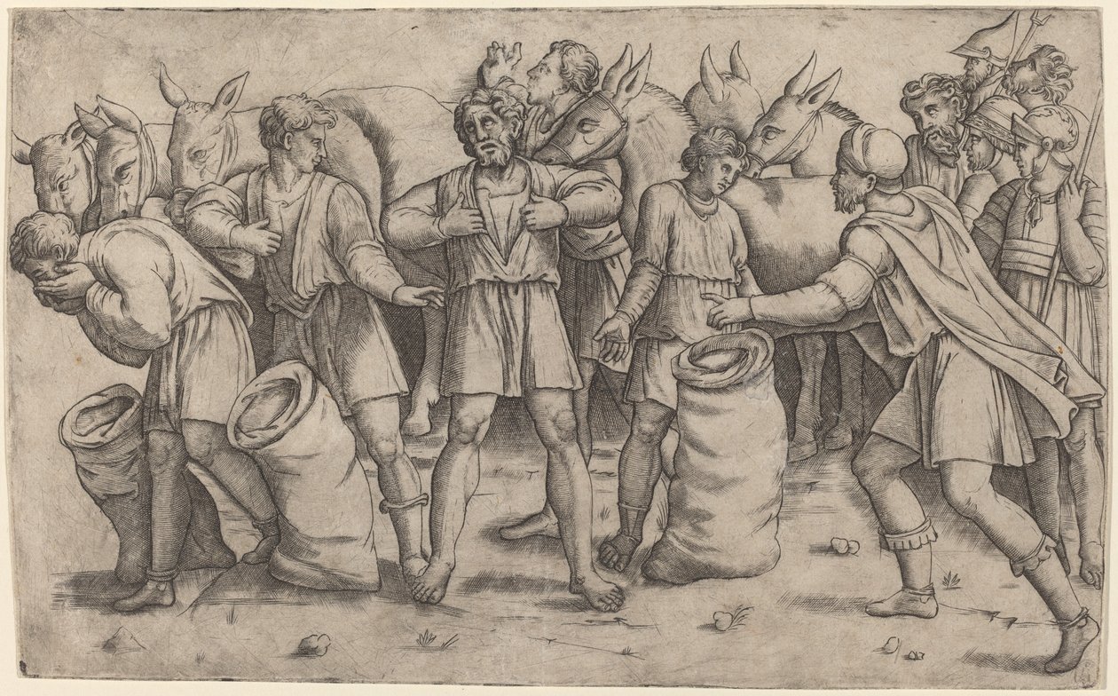Discovery of Joseph