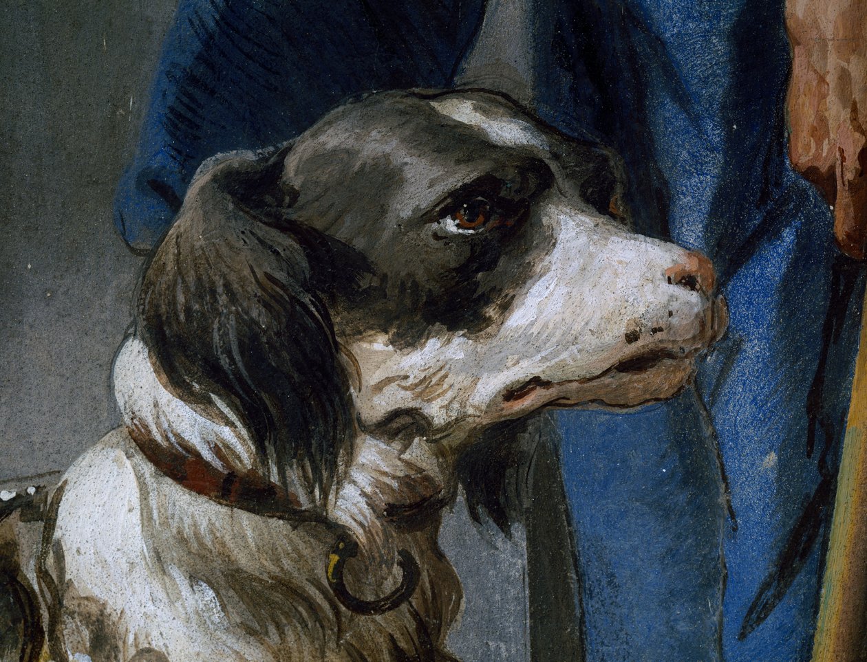 Dog Argo (detail) by Giovanni Battista Tiepolo