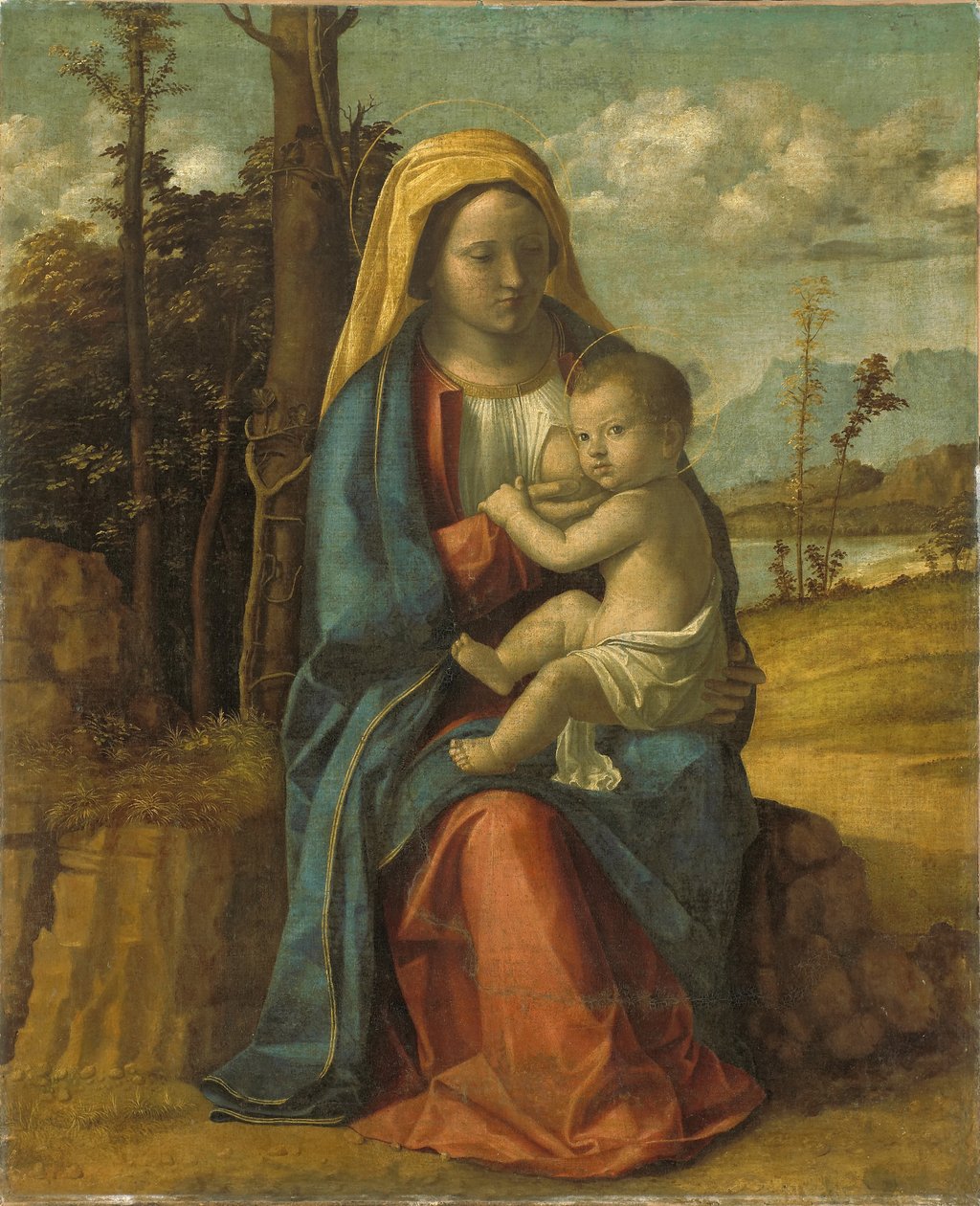 Madonna and Child by Giovanni Battista Cima da Conegliano