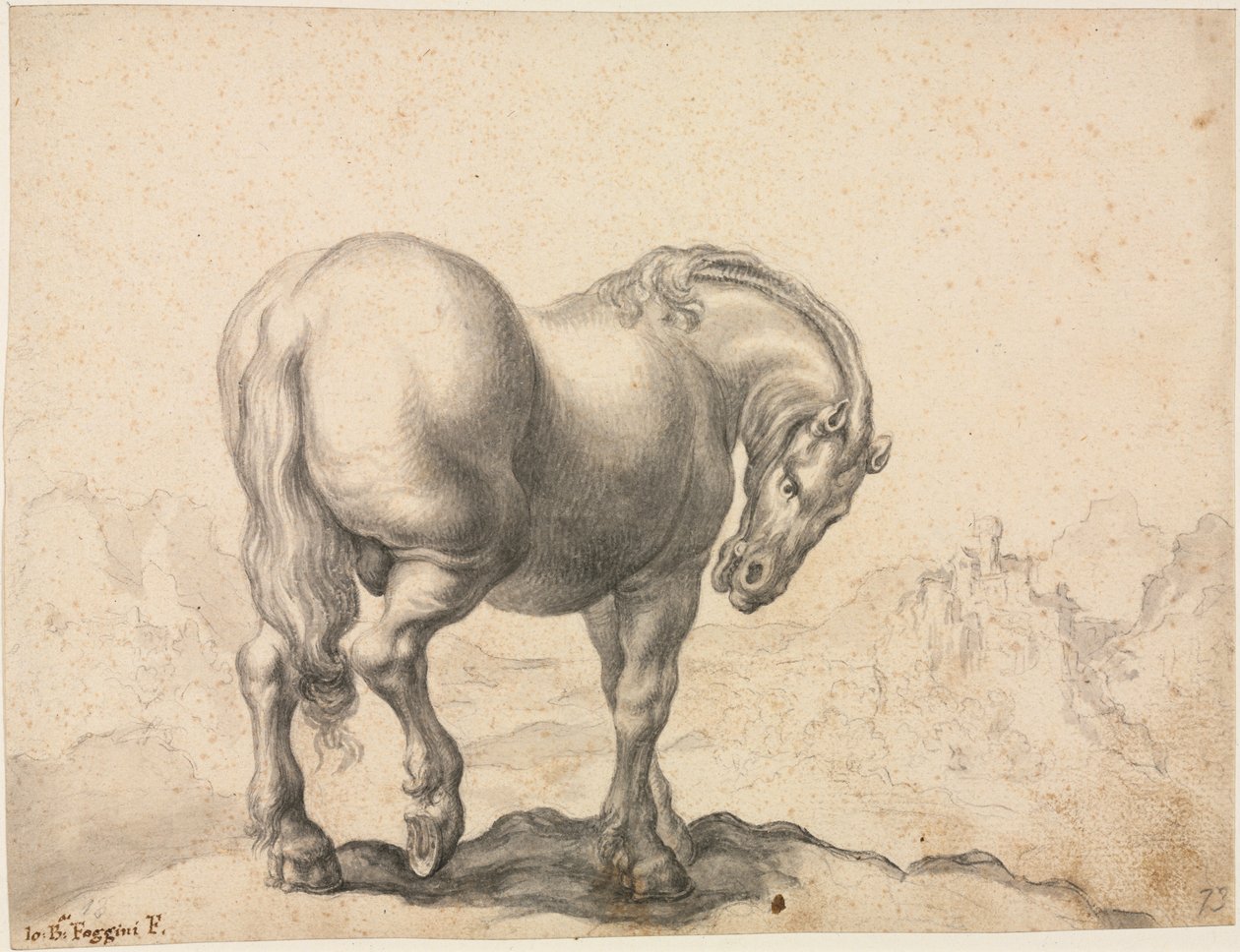 Study of a Stallion, First Third 18th Century by Giovanni Battista Foggini