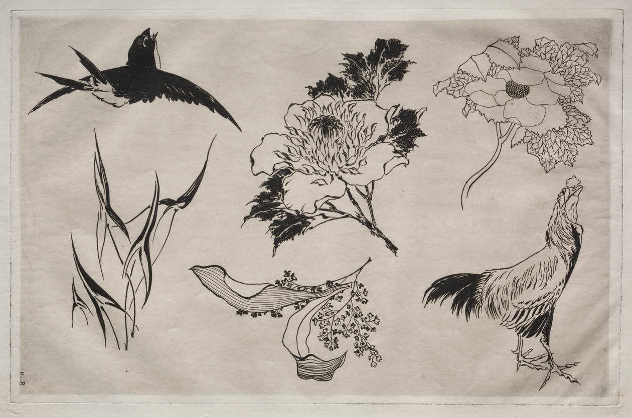 Dinner Service (Rousseau service): Swallow, Rooster and Flowers (no. 8) by Giovanni Battista Piranesi