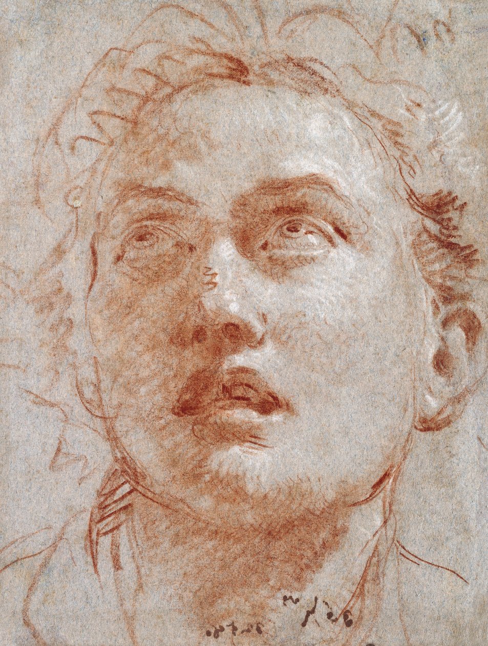 Head of a Man Looking Up by Giovanni Battista Tiepolo