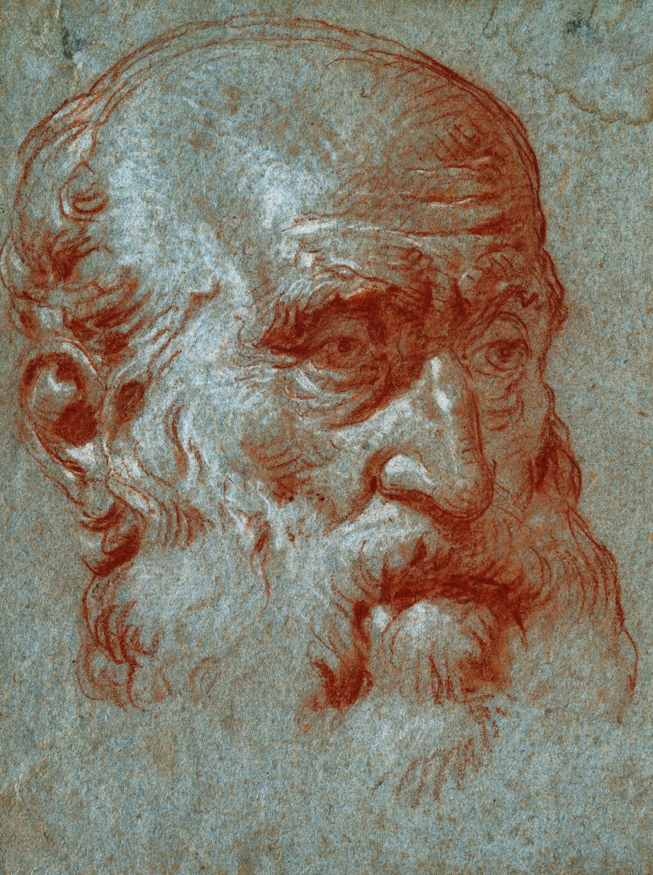 Head of a Venetian Patrician, Three-Quarter Face by Giovanni Battista Tiepolo