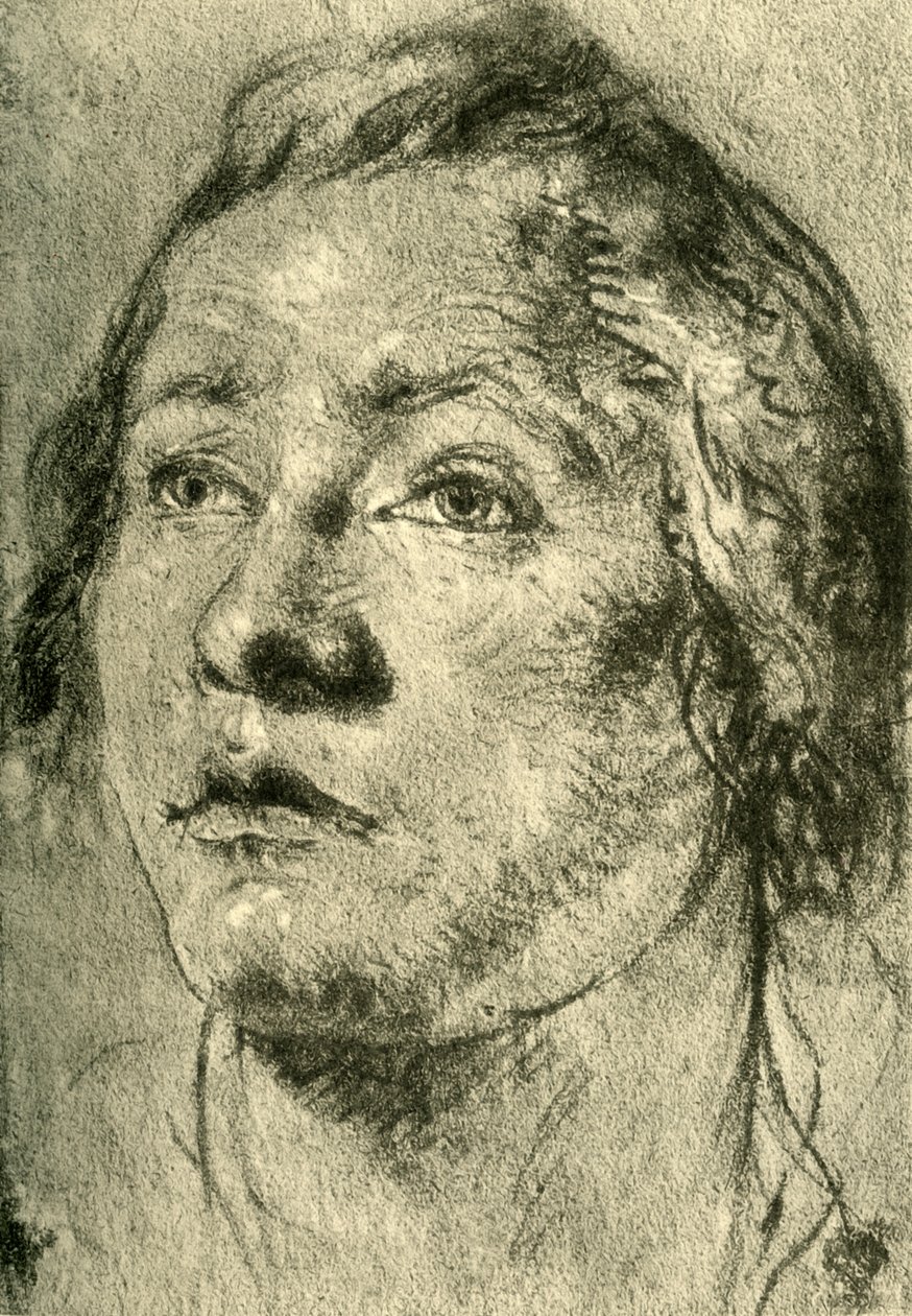 Head of a Young Man, mid 18th century by Giovanni Battista Tiepolo