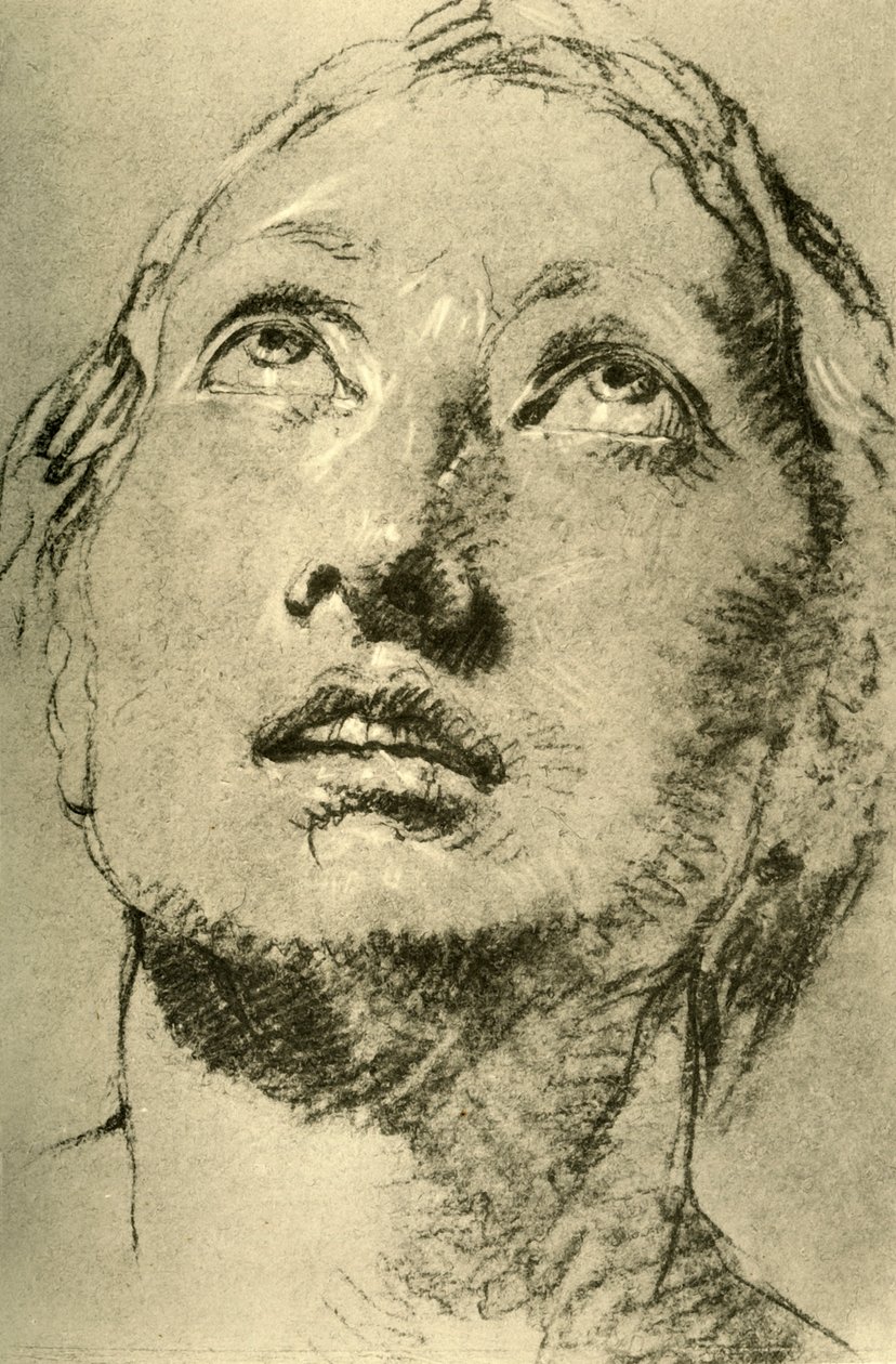 Head of a Young Woman, looking up by Giovanni Battista Tiepolo