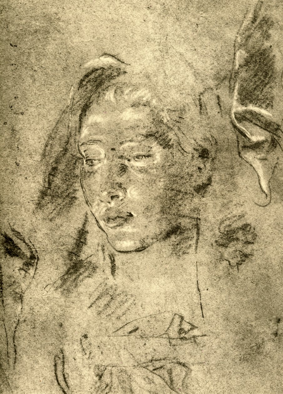 Head of a Young Woman by Giovanni Battista Tiepolo