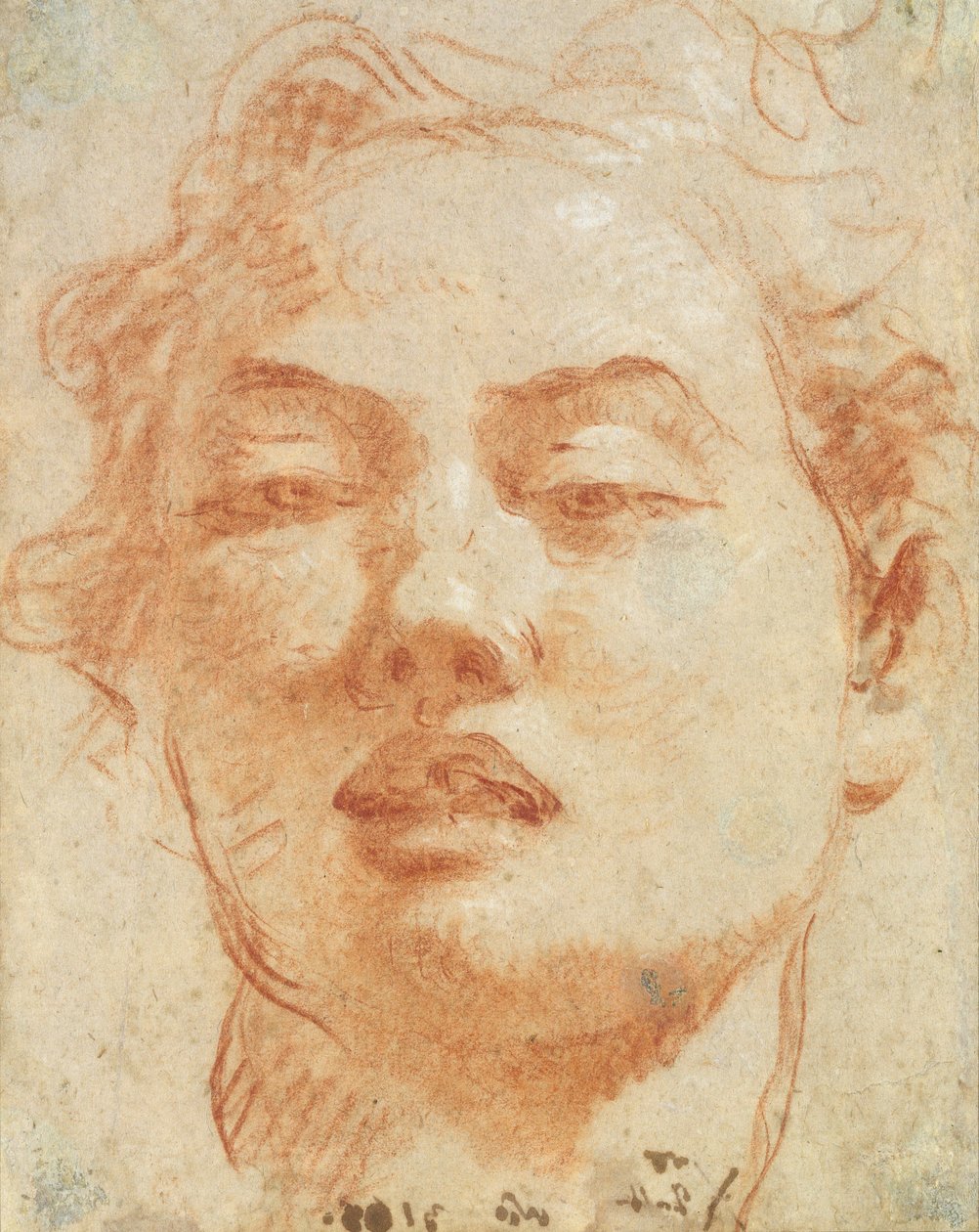 Head of a Young Man by Giovanni Battista Tiepolo
