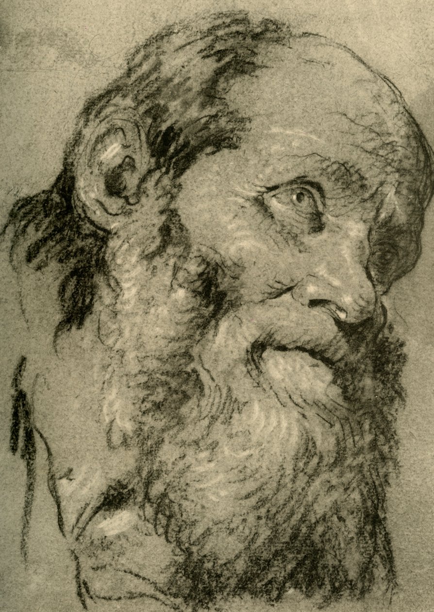 Head of an Old Man, c1755, 1928 by Giovanni Battista Tiepolo