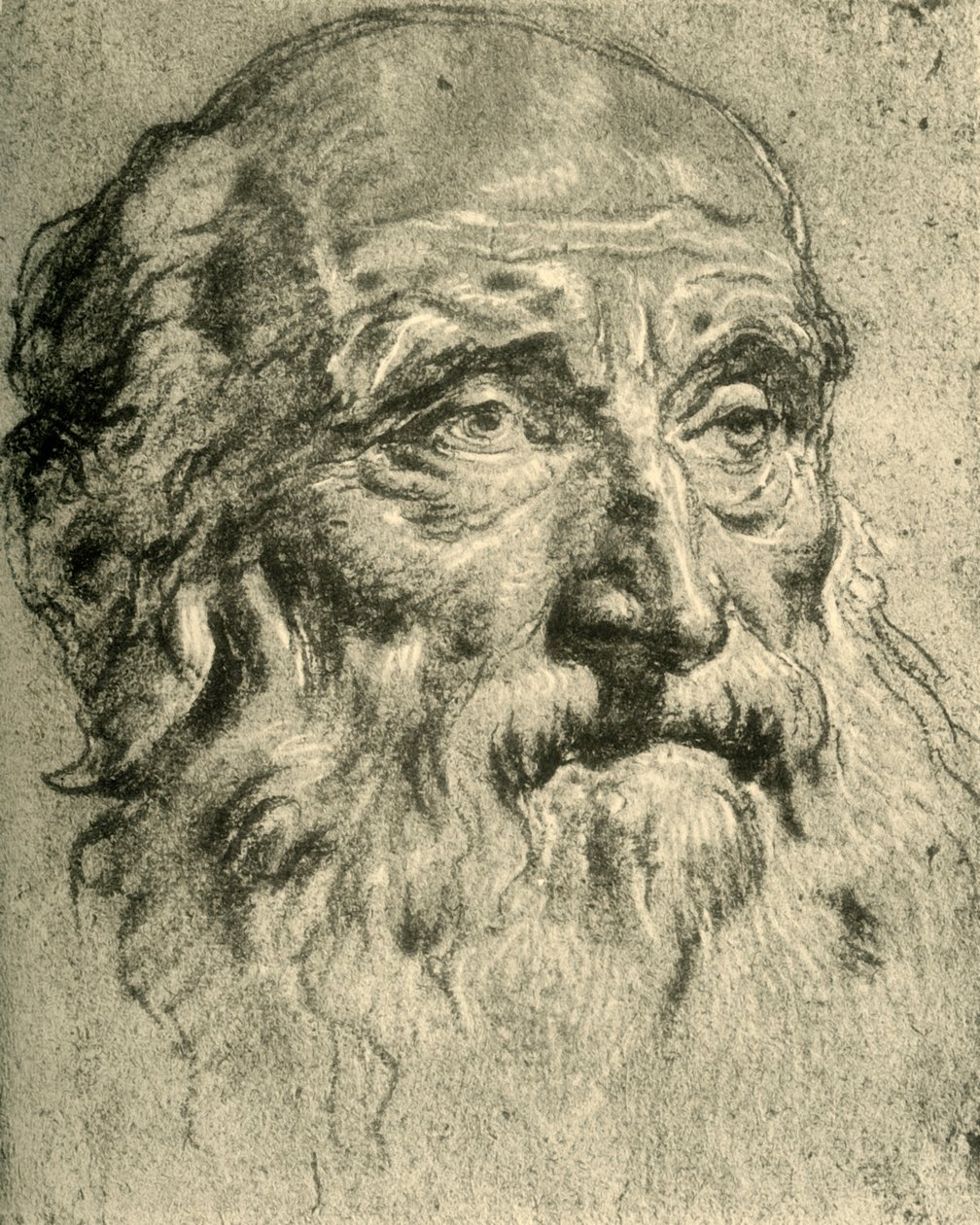 Head of an Old Man, Mid 18th Century by Giovanni Battista Tiepolo