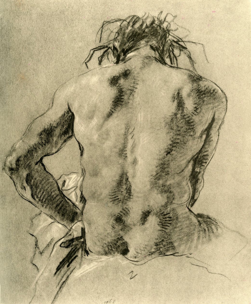 Nude back, 1751, 1928 by Giovanni Battista Tiepolo