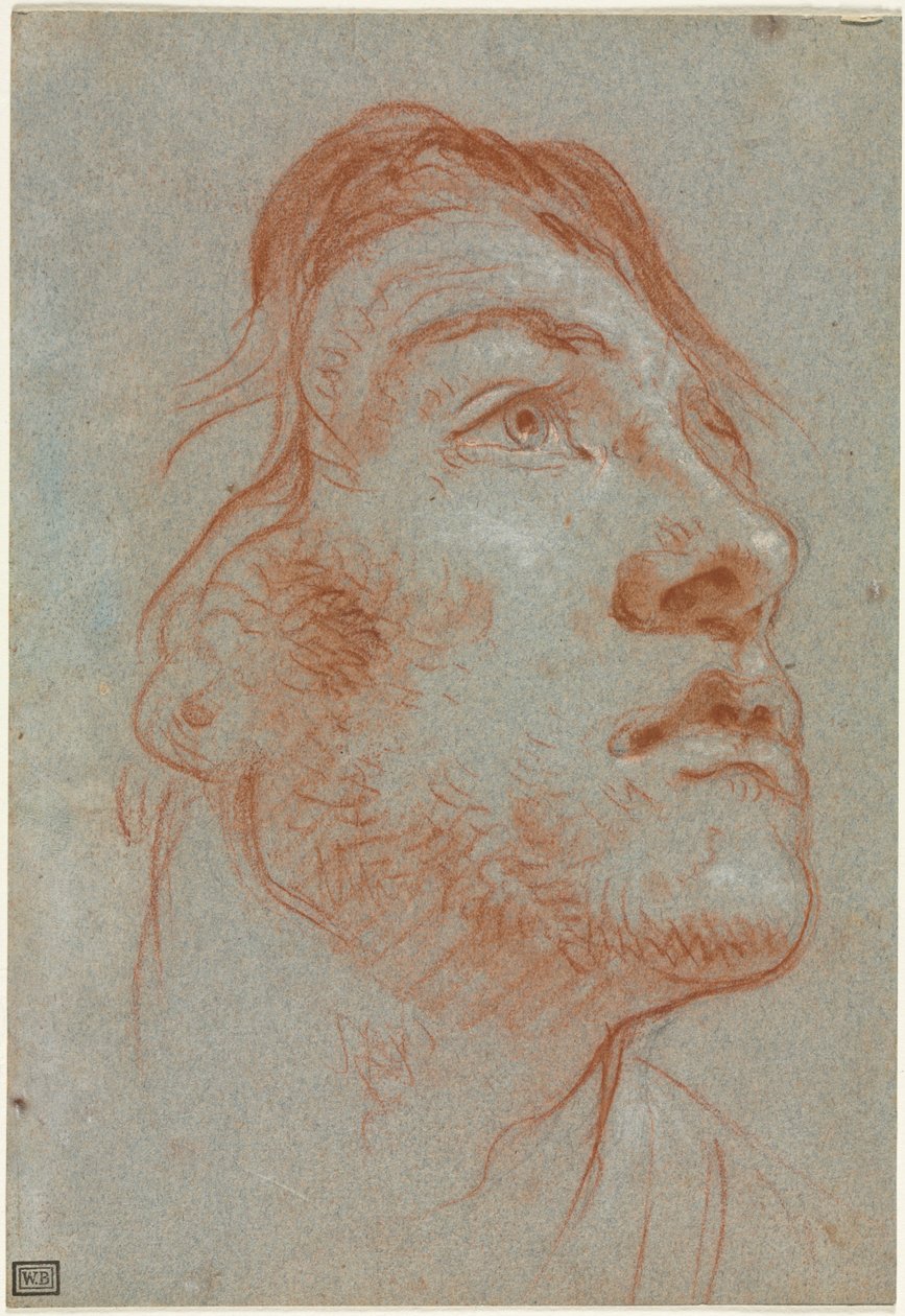 The Head of a Young Man Looking Upwards to the Right by Giovanni Battista Tiepolo