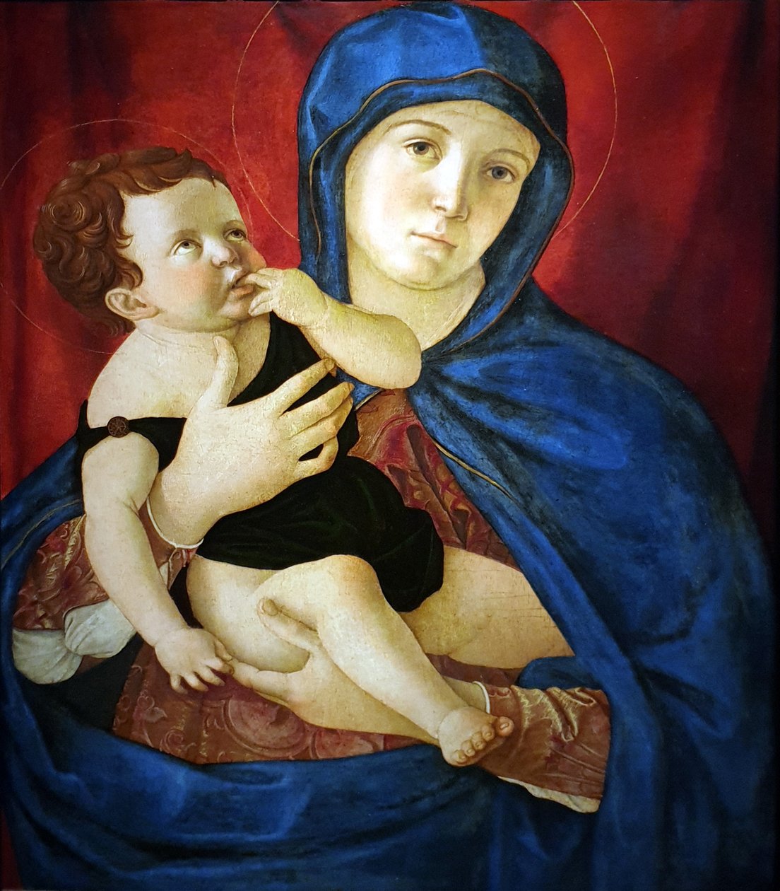 The Virgin and Child by Giovanni Bellini