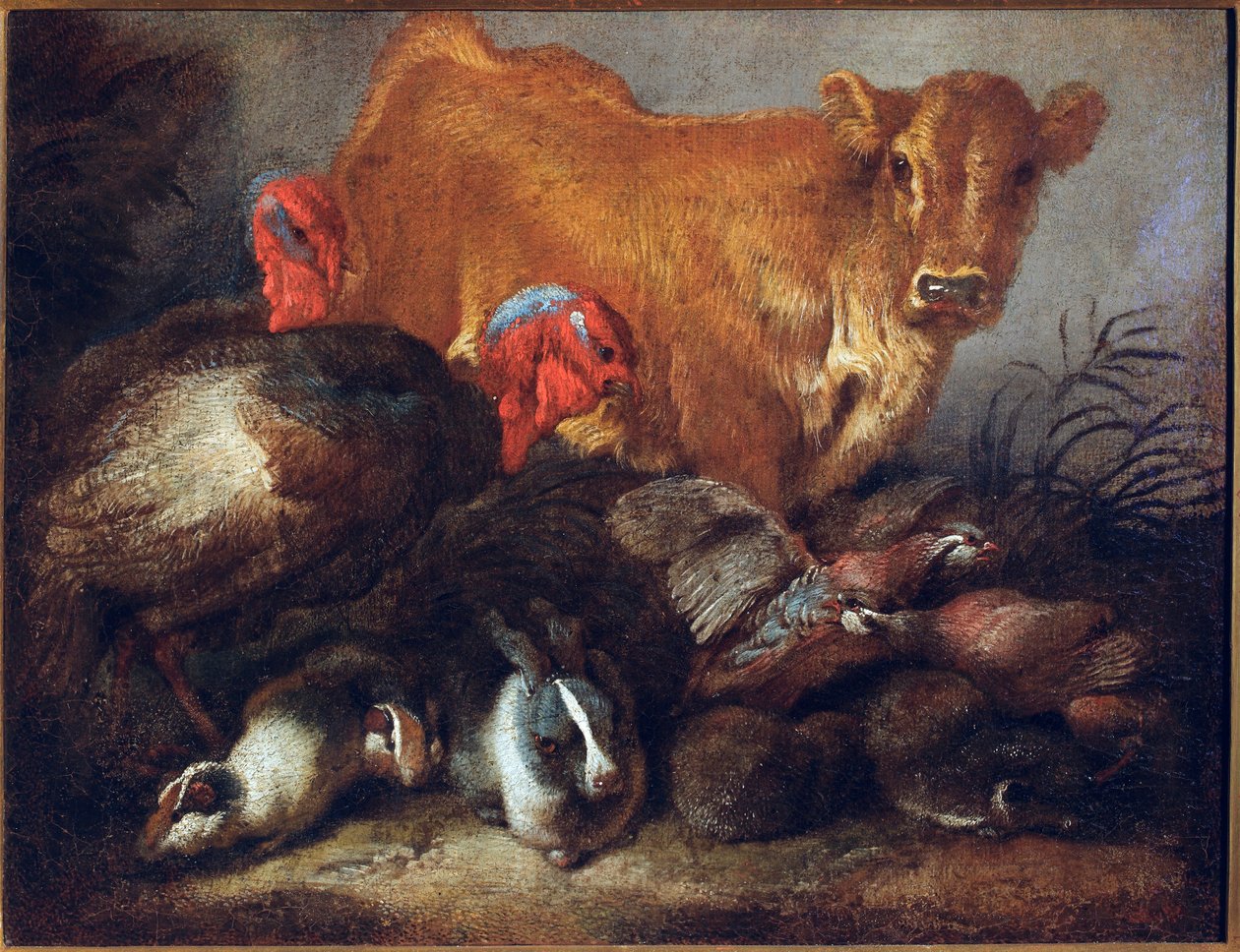 Study of Animals: Cow, Turkey, Rabbit by Giovanni Benedetto Castiglione