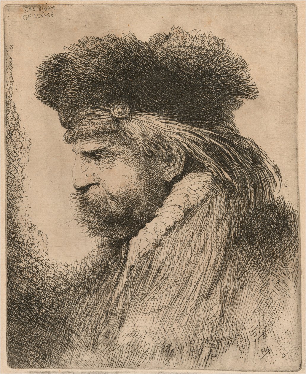 Bearded Man in a Fur Cap, Facing Left by Giovanni Benedetto Castiglione