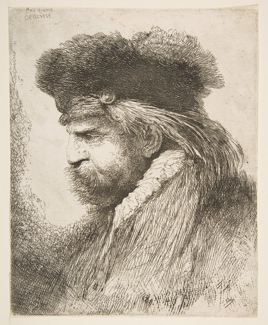 Head of an Old Man Facing Left, from the Series of Large Oriental Heads, ca. 1645-50 by Giovanni Benedetto Castiglione