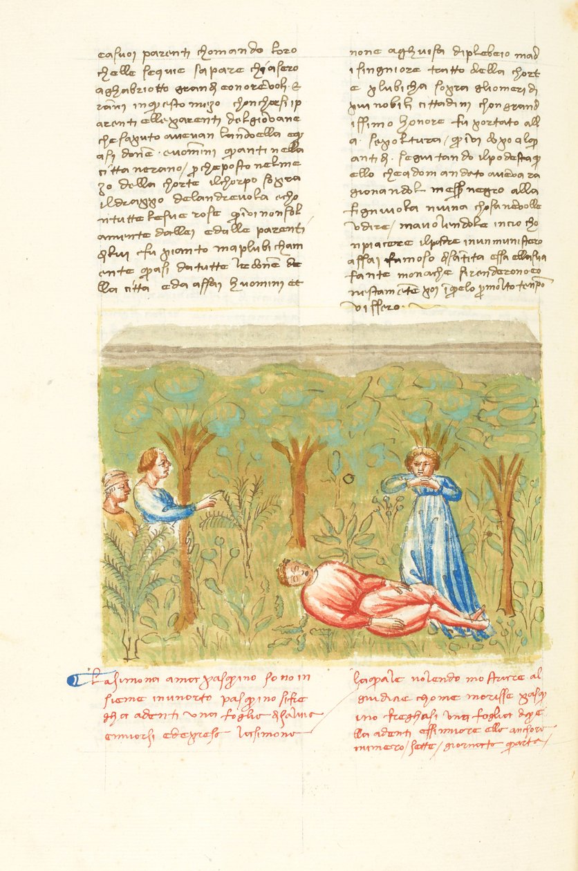 Decameron, The Sage Plant - Death of Pasquino, Fourth day, story 7 by Giovanni Boccaccio
