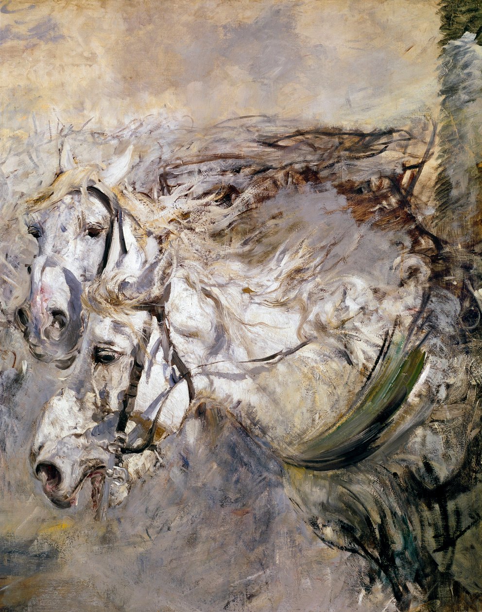 Two White Horses by Giovanni Boldini