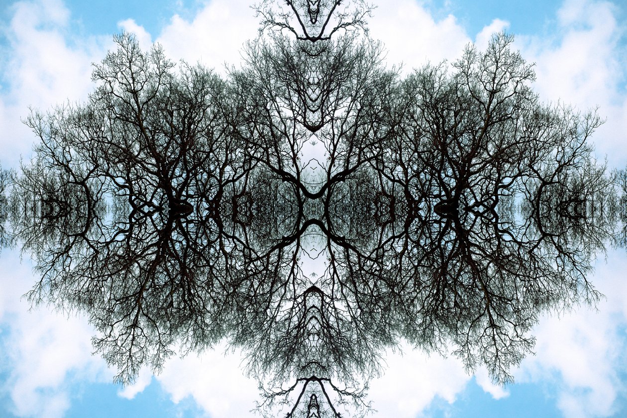 Unnatural 100 by Giovanni Cafagna