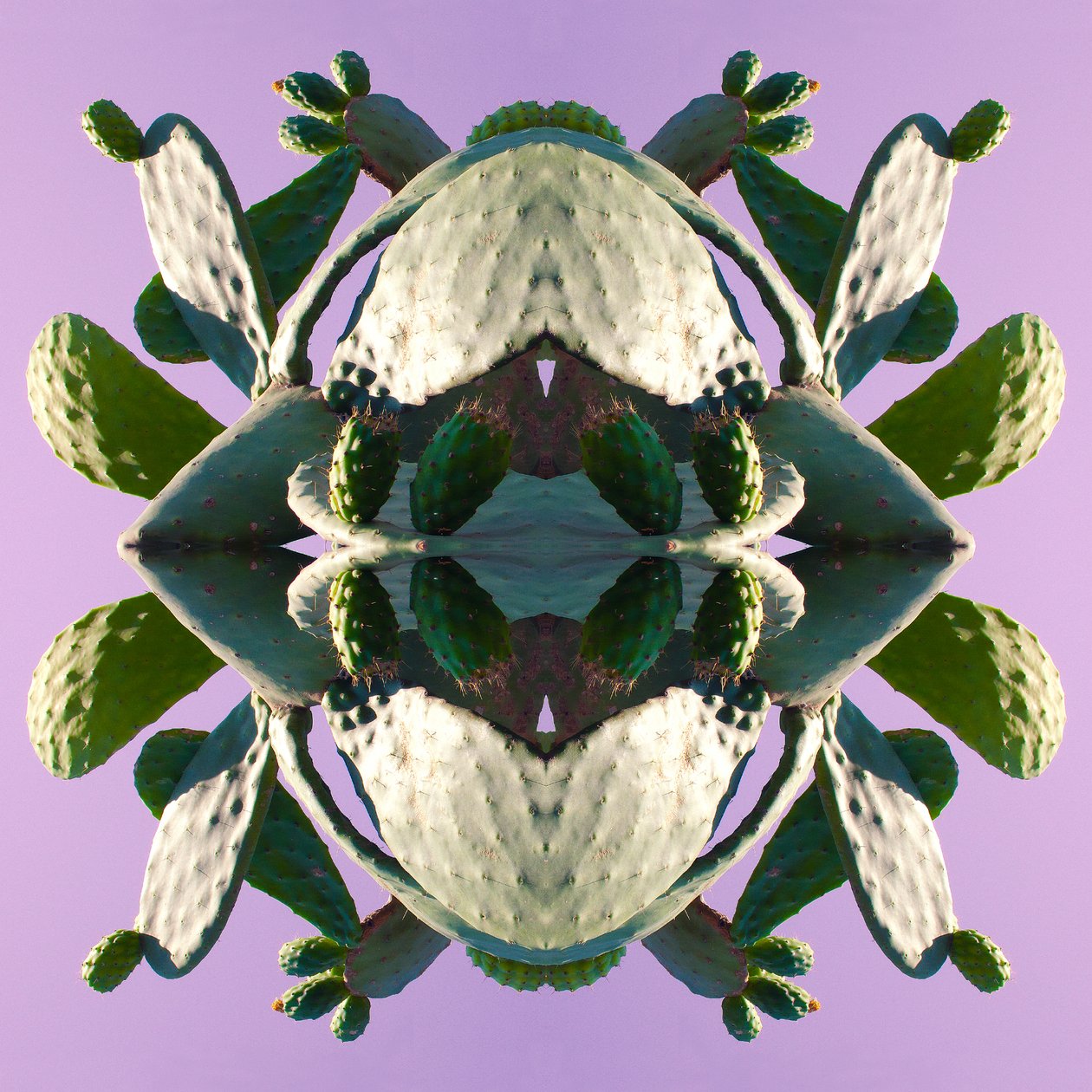 Unnatural 196 by Giovanni Cafagna