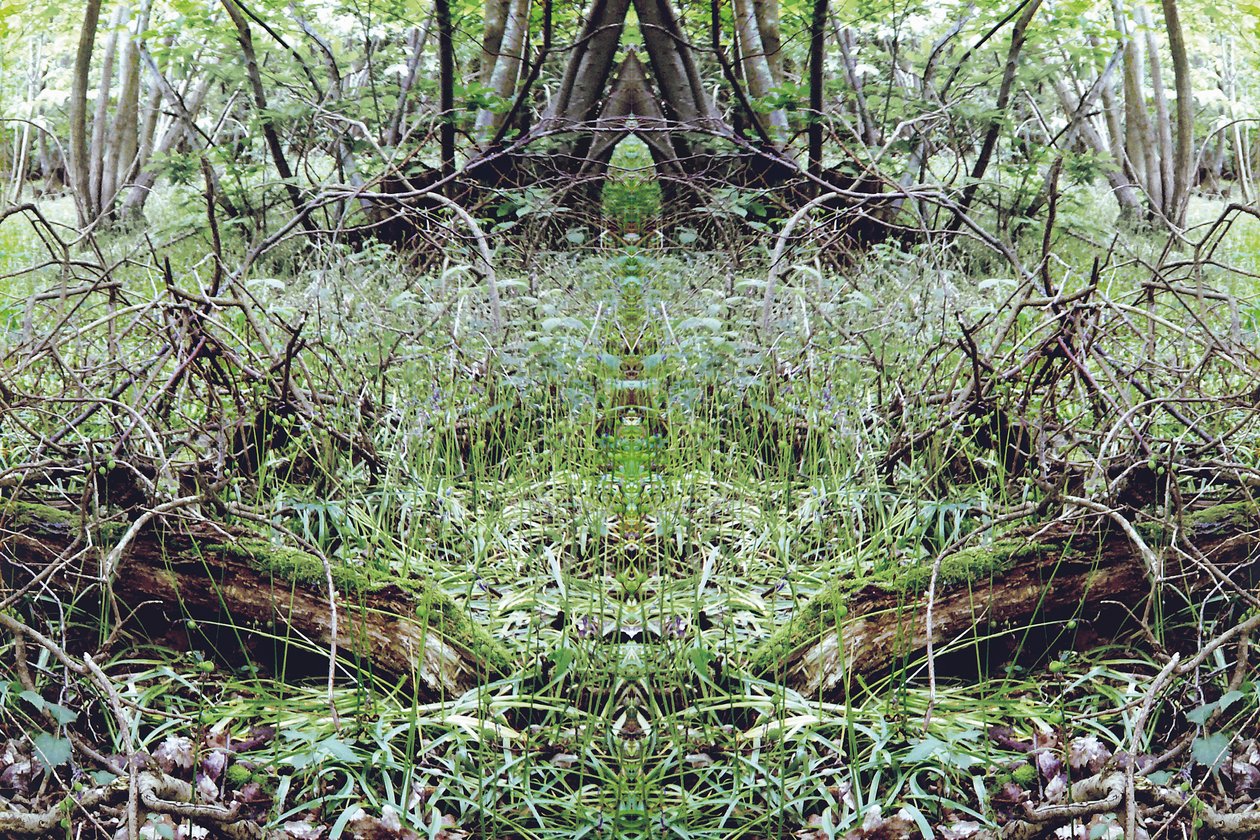 Unnatural 33 by Giovanni Cafagna