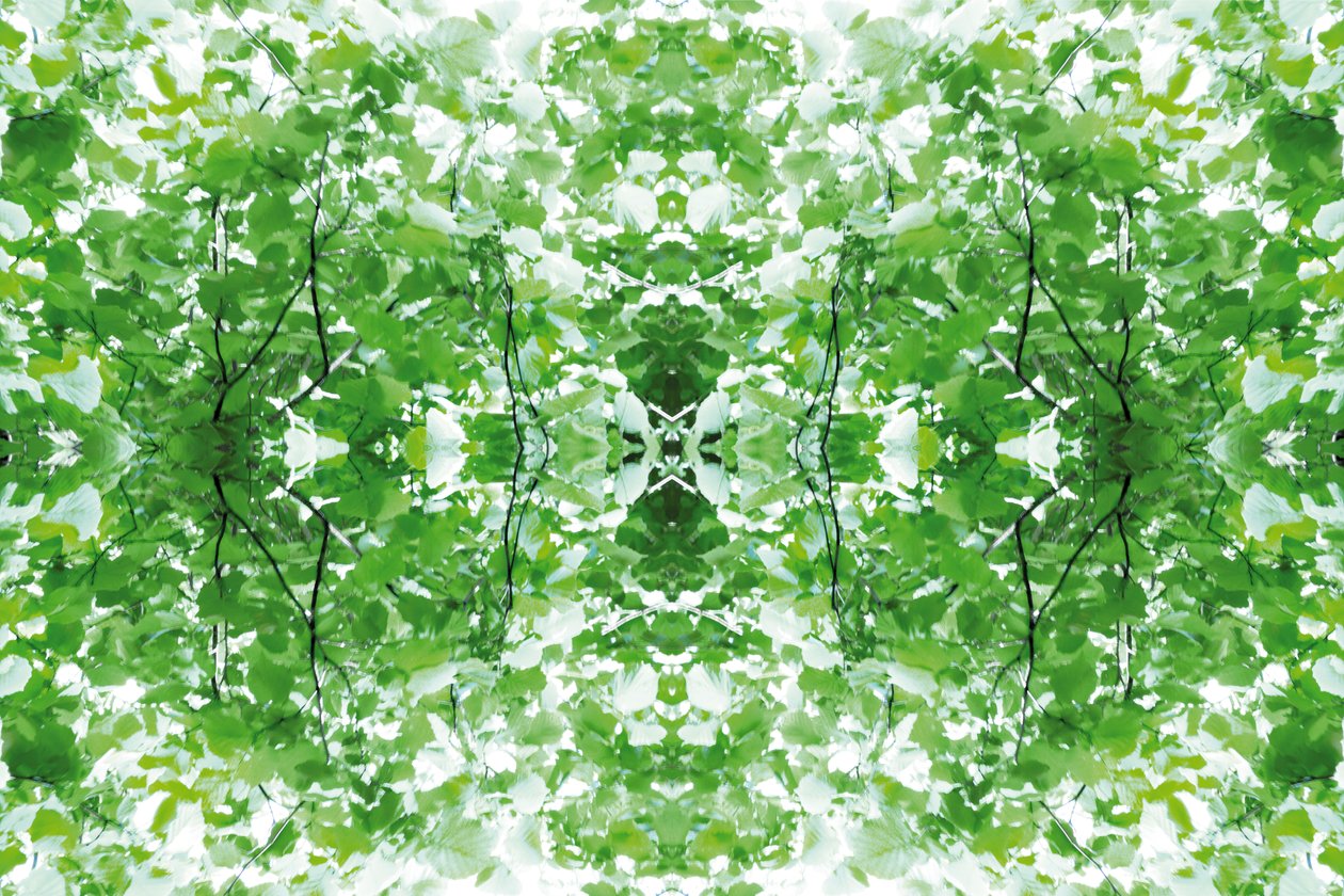 Unnatural 34 by Giovanni Cafagna