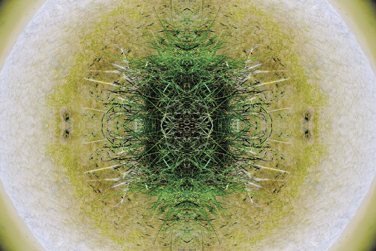 Unnatural 6.1 by Giovanni Cafagna